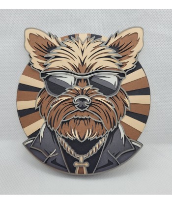 Yorkshire terrier