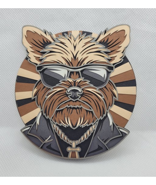 Yorkshire terrier Yorkshire terrier